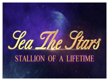 Sea The Stars